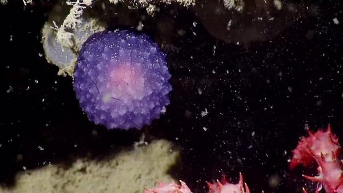 Skrivnostna svetleča krogla