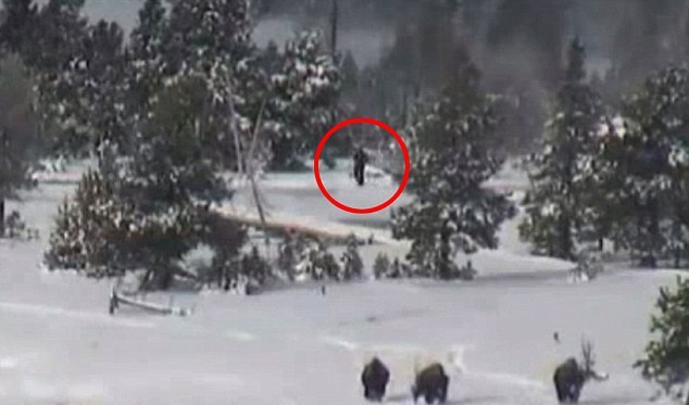 Skrivnostni Yeti - Skrivnostni v vsem