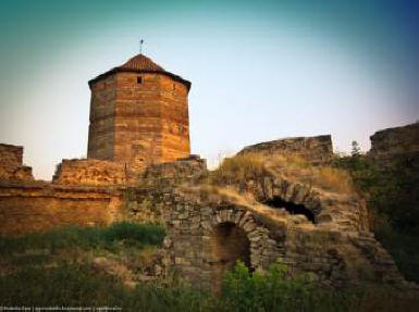 Skrivnostne številke rogoznice