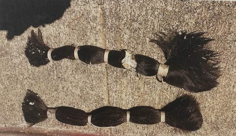 Skrivnostni snopi las so bili raztreseni po kalifornijskem mestu.