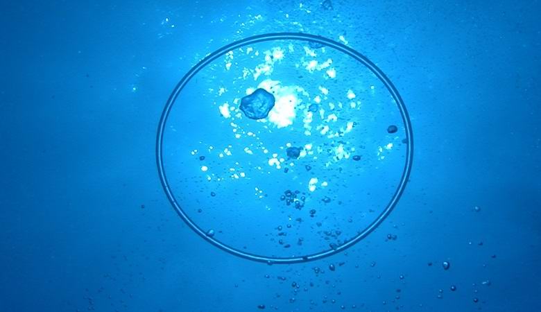 Skrivnostni zračni obroči pod vodo so presenetili potapljače