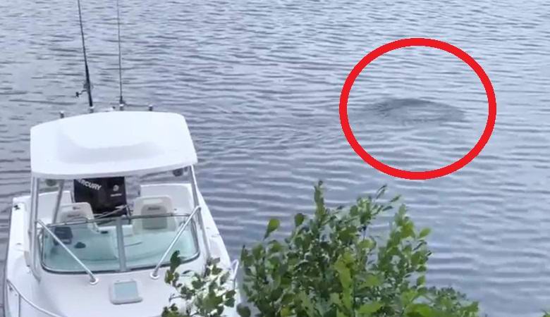 Skrivnostni predmet, ujet v ameriškem jezeru