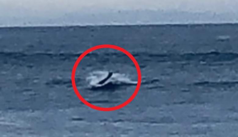 Skrivnostno humanoidno bitje se je iz Kalifornije pojavilo iz vode.