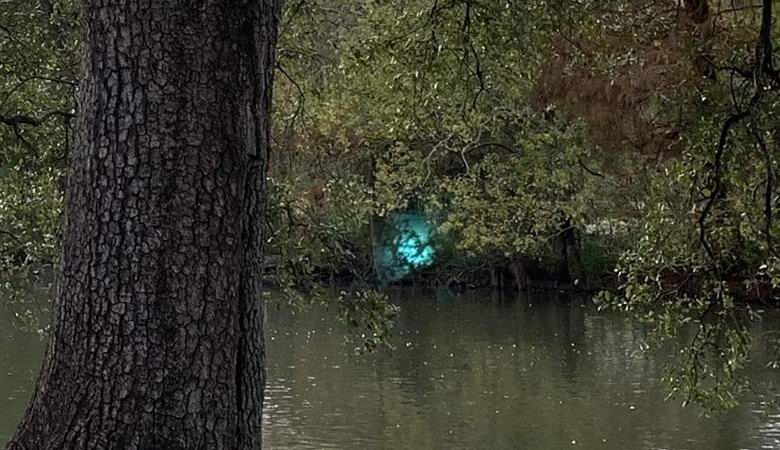 Skrivnostni sijaj, ujet v parku New Orleans