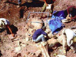 Prepovedana arheologija