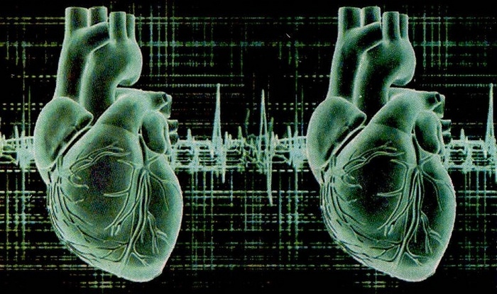 Rojstvo nove rase - imeti dva srca