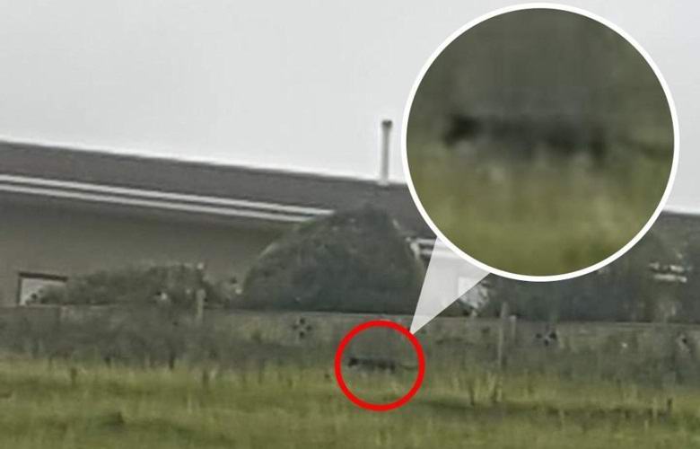 Ženska je trikrat fotografirala mitsko Zver Kumbrijo.