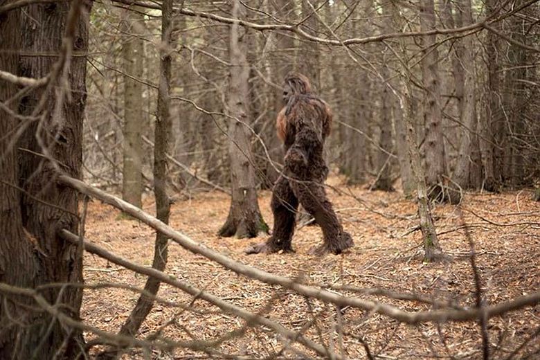 Bristolski prebivalec je z okna vlaka opazil snežnega moža.