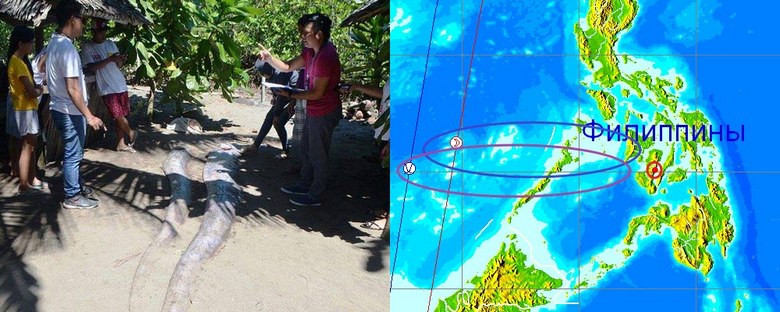 Prebivalci globokomorja