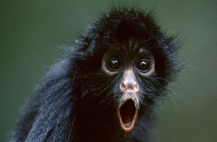 Prebivalka Kanade se spominja neverjetnega incidenta iz svojega otroštva.