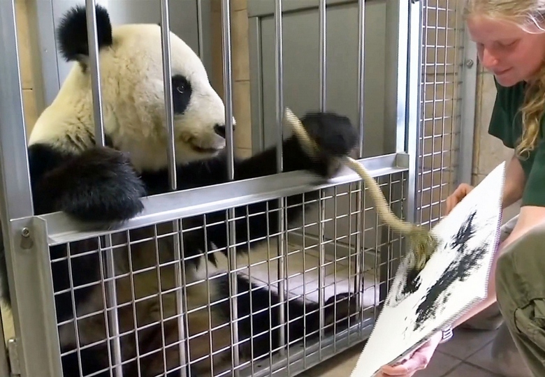 Živali - ekspresionistični umetniki