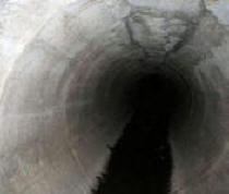 Življenje pod zemljo