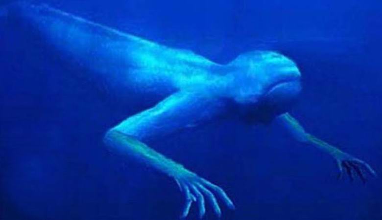 Grozna bitja živijo v vodnih kanalih Birminghama.