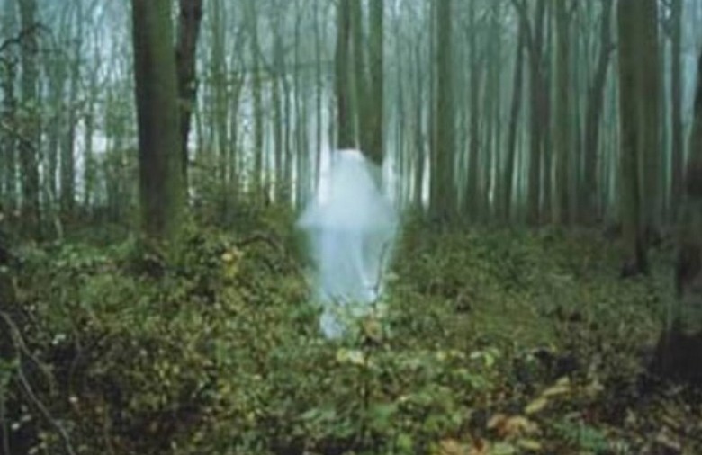 Zlobni subjekti jabolčnega sadovnjaka so deklico skoraj ubili.