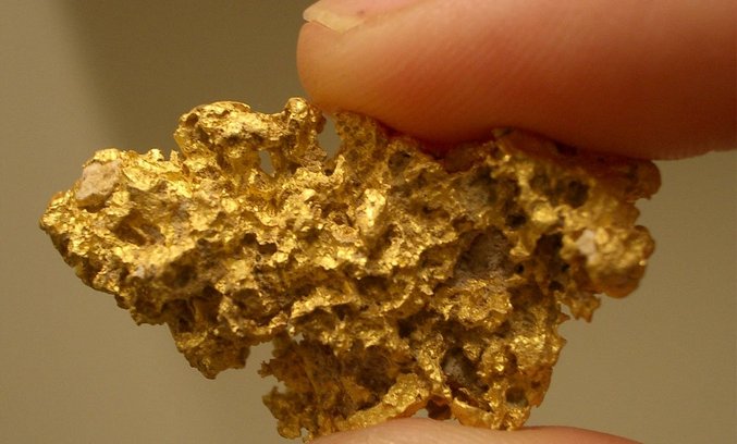 Zlato in bakterije - kaj je skupnega?