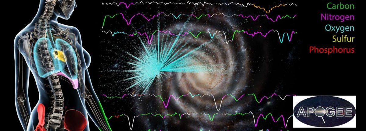 Zvezde Rimske ceste so sestavljene iz istih elementov kot ljudje 